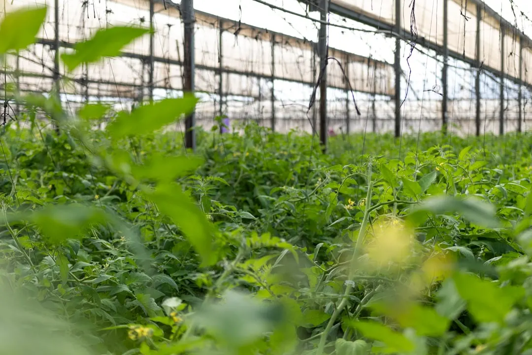 PLC控制柜在设备联网监控中的选型对比与配置指南